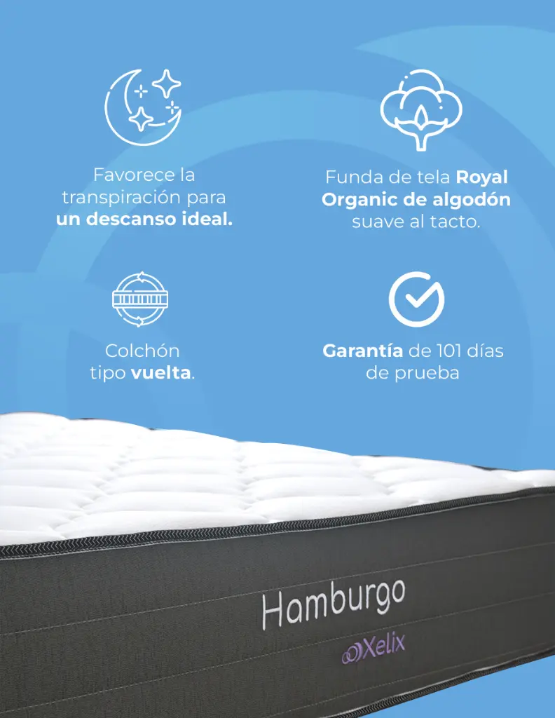 IMAGEN 6.webp