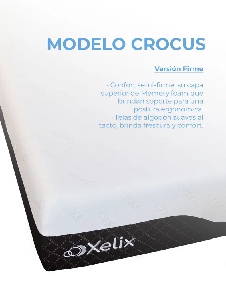 Crocus_VersionFirmeIMAGEN 5.webp